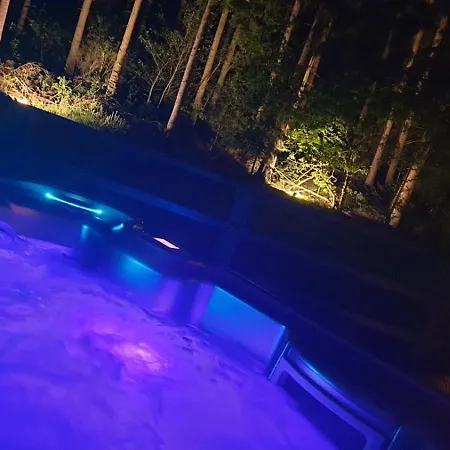 Cozy Forest Wellness *
